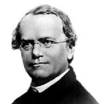 gente-Gregor Mendel (LO ASONBROSO DE SU VIDA).